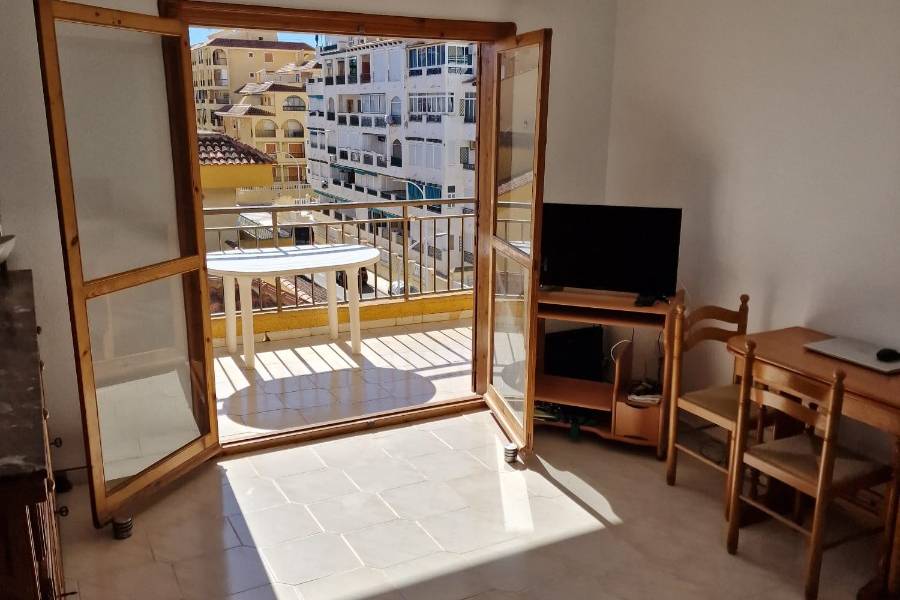 Alquiler - Apartamento - La Mata - Viñamar / PLAYA