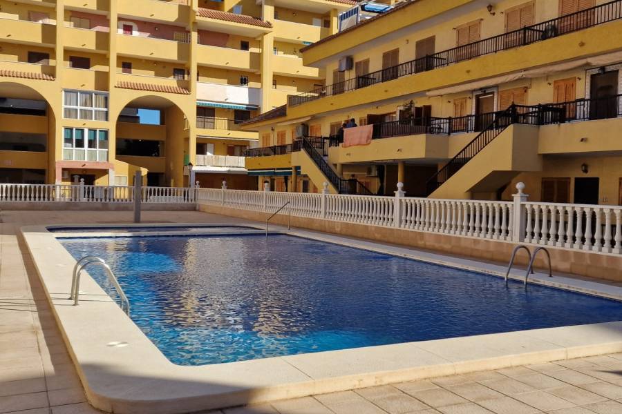 Alquiler - Apartamento - La Mata - Viñamar / PLAYA