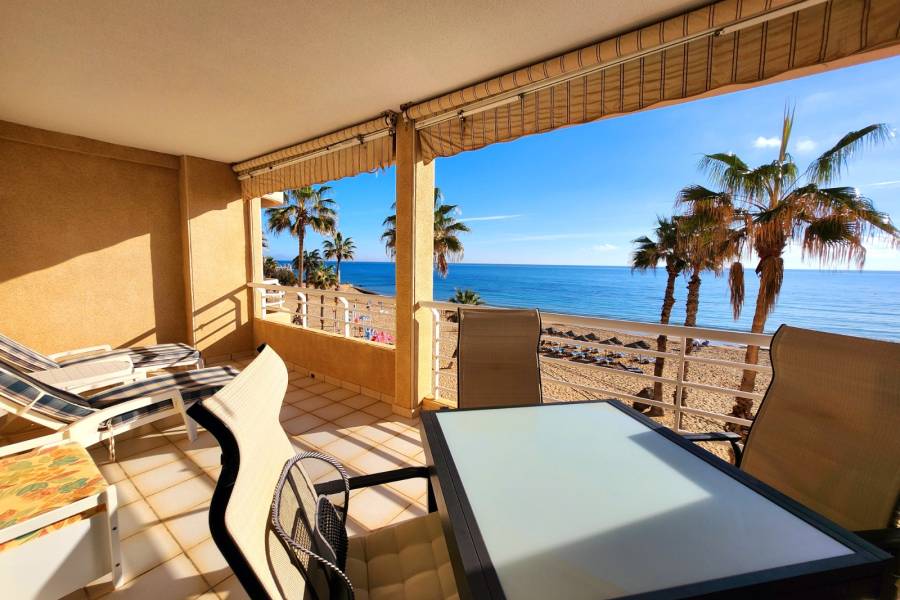 Reventa - Apartamento - La Mata - Centro/PLAYA