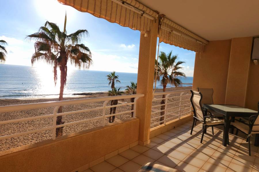 Reventa - Apartamento - La Mata - Centro/PLAYA