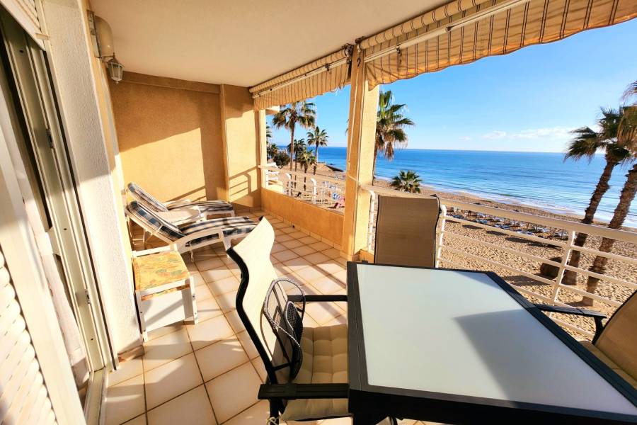 Reventa - Apartamento - La Mata - Centro/PLAYA