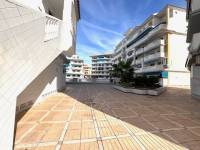 Reventa - Apartamento - La Mata - Viñamar / PLAYA