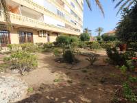 Reventa - Apartamento - La Mata - Los Europeos/ PLAYA