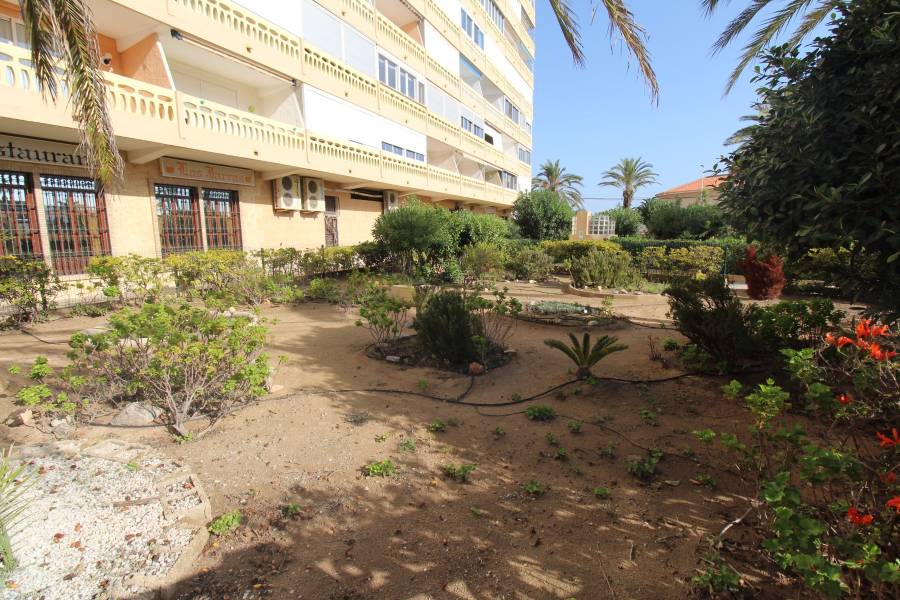 Reventa - Apartamento - La Mata - Los Europeos/ PLAYA