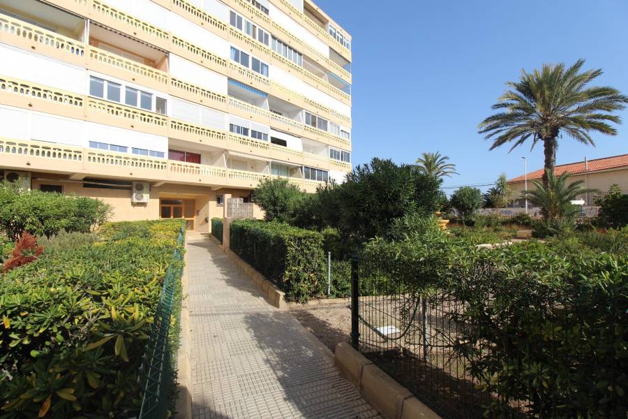 Reventa - Apartamento - La Mata - Los Europeos/ PLAYA