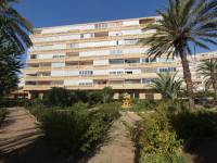 Reventa - Apartamento - La Mata - Los Europeos/ PLAYA