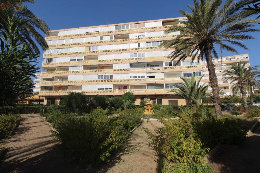 Reventa - Apartamento - La Mata - Los Europeos/ PLAYA