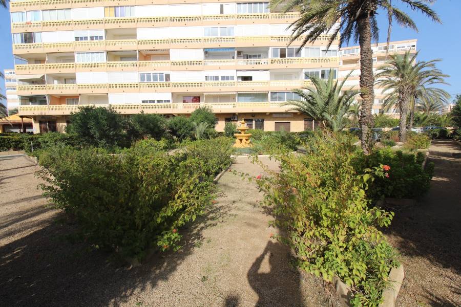 Reventa - Apartamento - La Mata - Los Europeos/ PLAYA