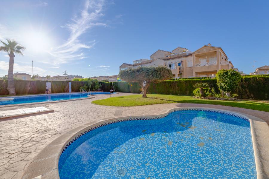 Reventa - Chalet - Torrevieja - Pueblo 