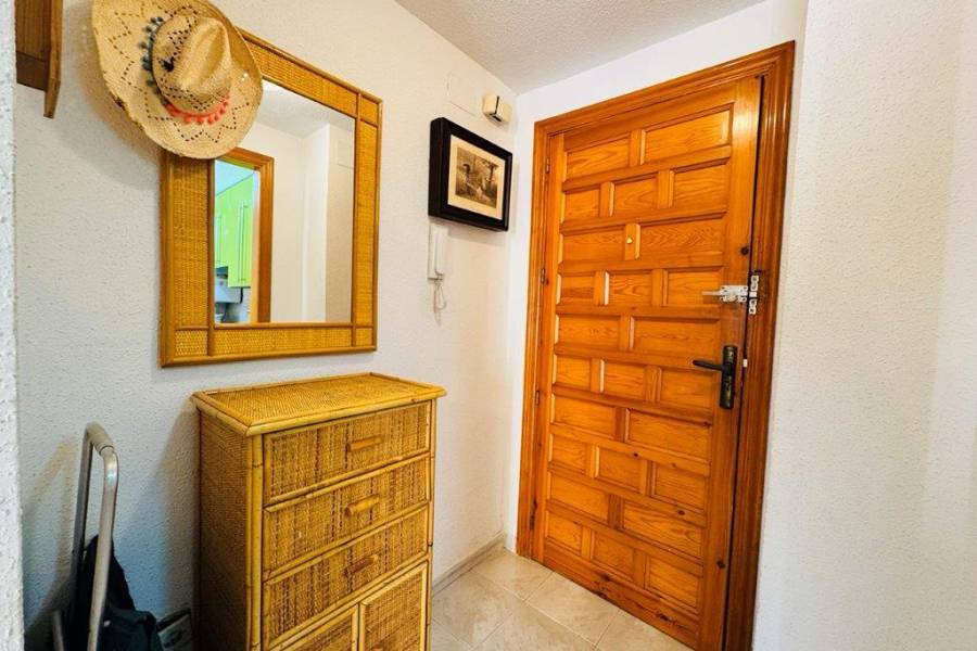 Reventa - Apartamento - La Mata - Pueblo/ PLAYA