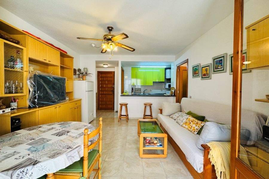 Reventa - Apartamento - La Mata - Pueblo/ PLAYA