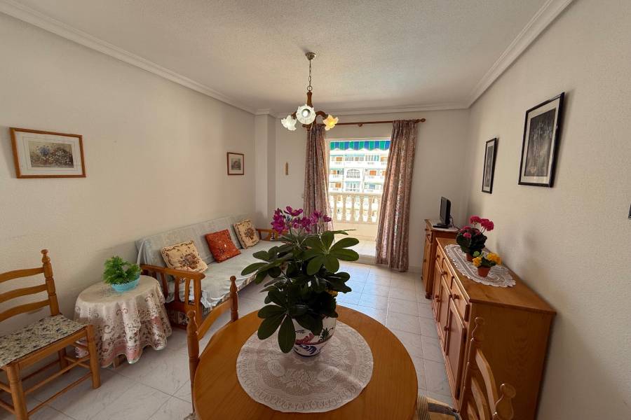 Reventa - Apartamento - La Mata - Viñamar / PLAYA