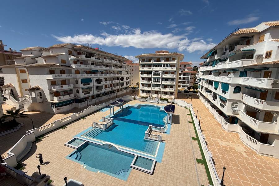 Reventa - Apartamento - La Mata - Viñamar / PLAYA