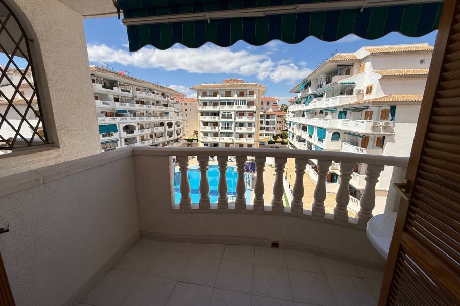 Reventa - Apartamento - La Mata - Viñamar / PLAYA
