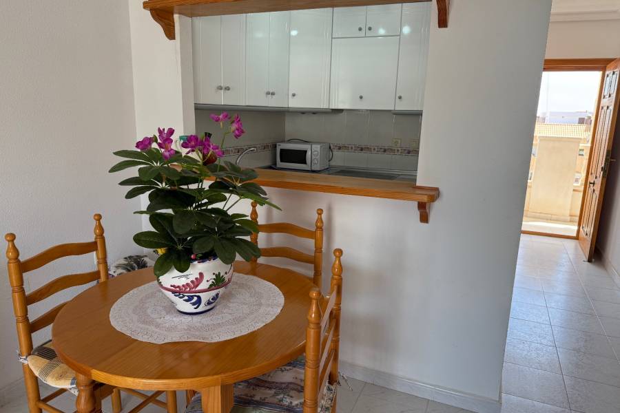 Reventa - Apartamento - La Mata - Viñamar / PLAYA