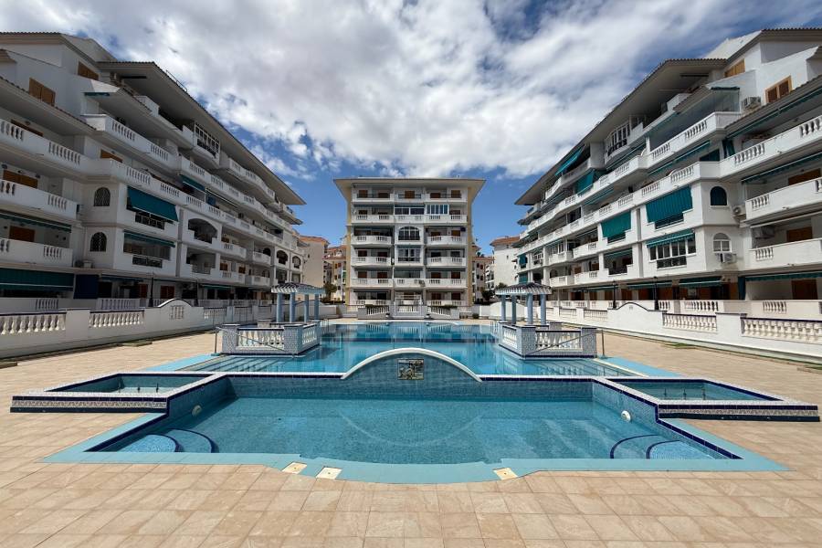 Reventa - Apartamento - La Mata - Viñamar / PLAYA