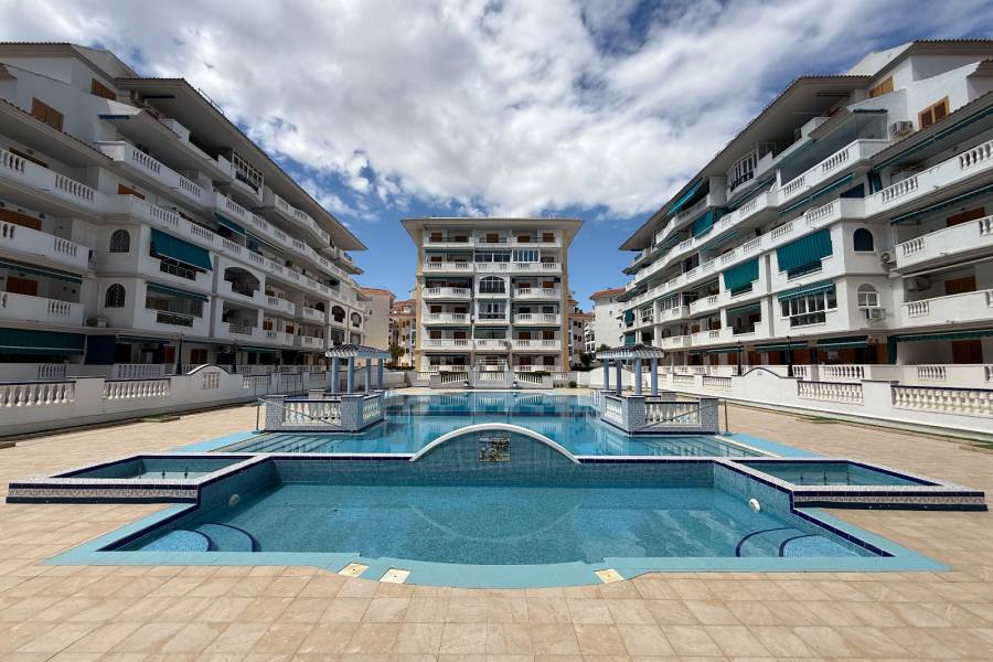 Reventa - Apartamento - La Mata - Viñamar / PLAYA