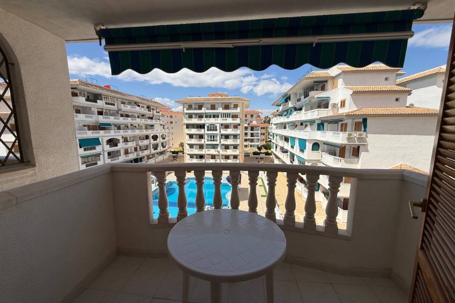 Reventa - Apartamento - La Mata - Viñamar / PLAYA