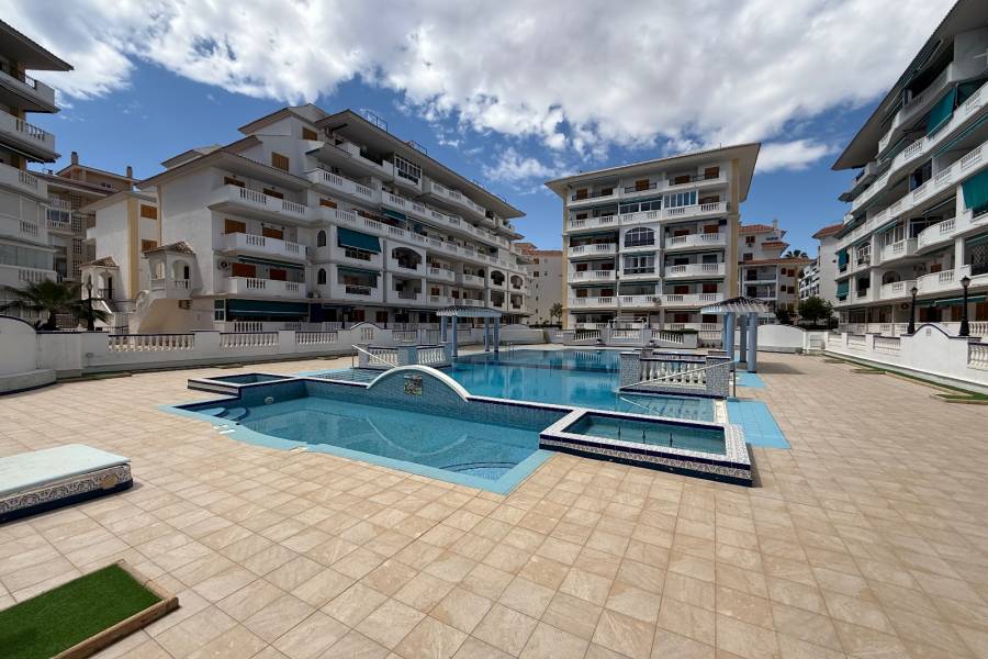 Reventa - Apartamento - La Mata - Viñamar / PLAYA