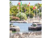 Reventa - Apartamento - Torrevieja - Parque de las Naciones