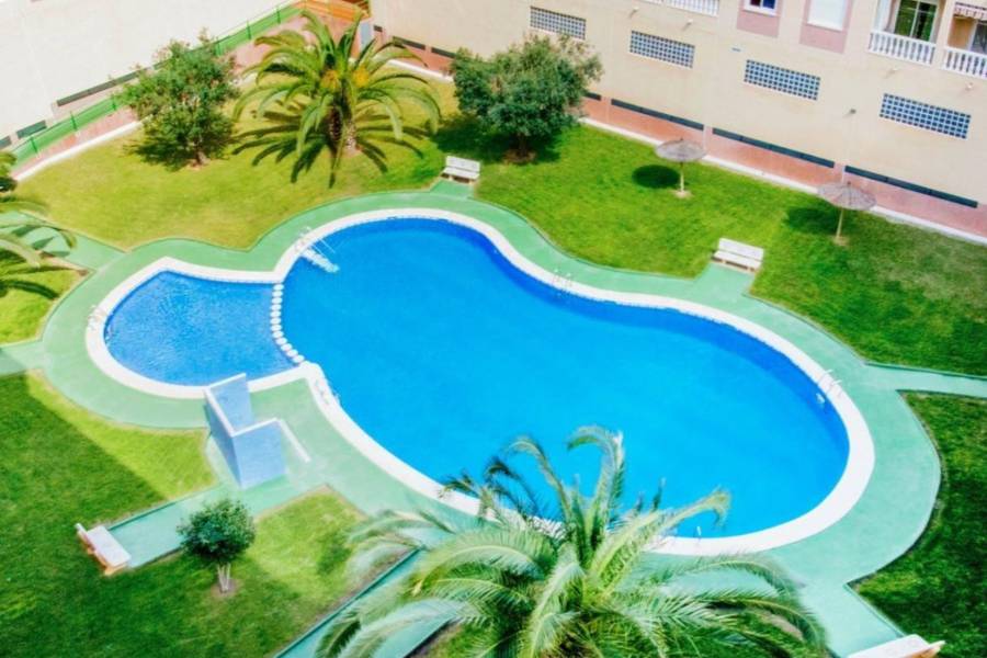 Reventa - Apartamento - Torrevieja - Parque de las Naciones