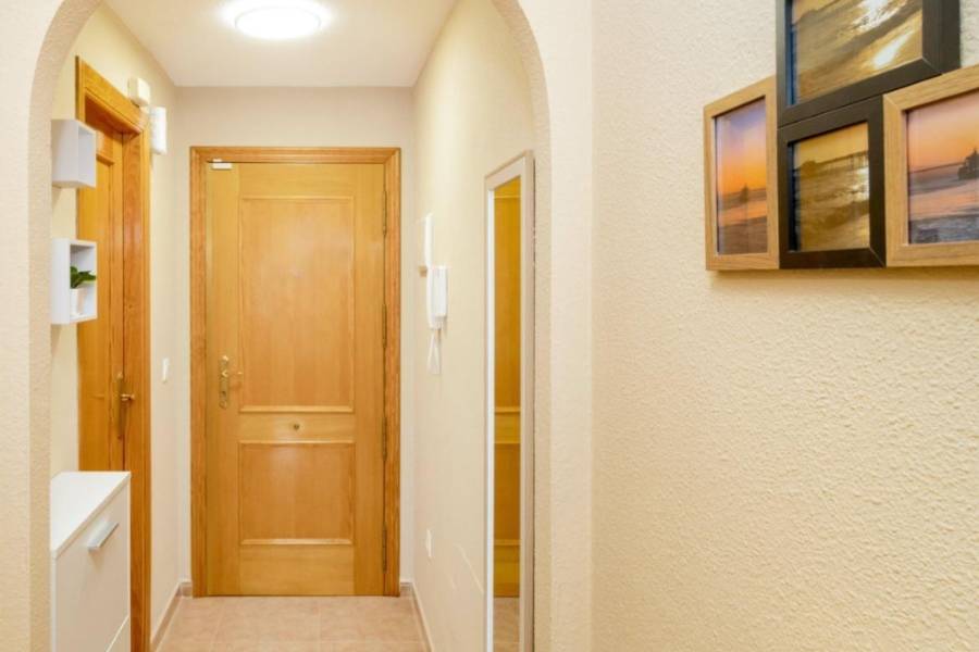 Reventa - Apartamento - Torrevieja - Parque de las Naciones