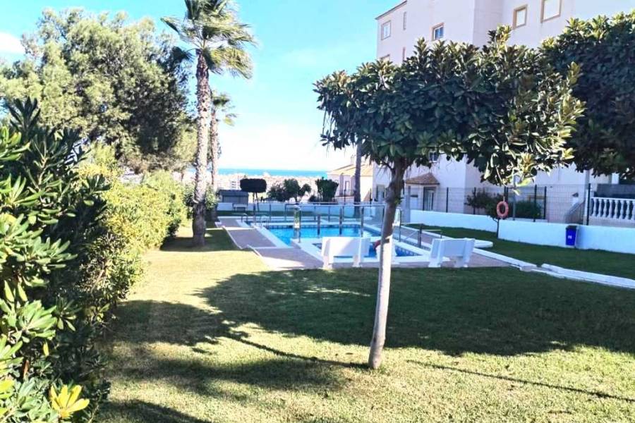 Reventa - Apartamento - La Mata - Torreblanca