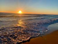 Reventa - Apartamento - La Mata - Plaza/ PLAYA