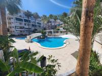 Reventa - Apartamento - La Mata - Viñamar / PLAYA