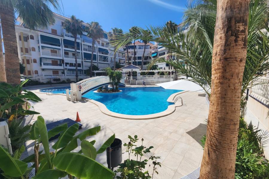 Reventa - Apartamento - La Mata - Viñamar / PLAYA