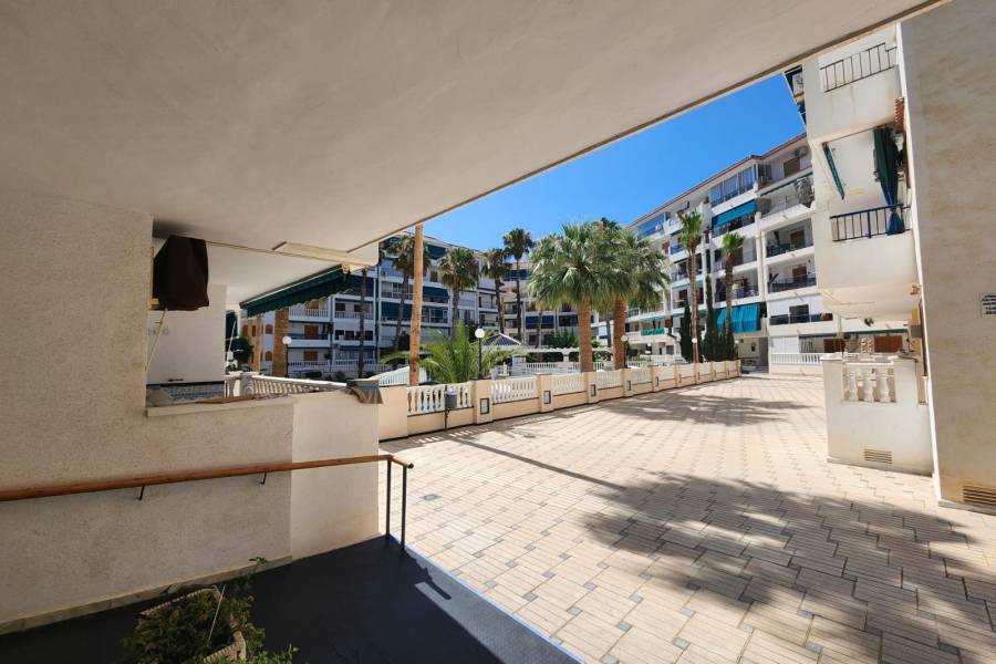 Reventa - Apartamento - La Mata - Viñamar / PLAYA