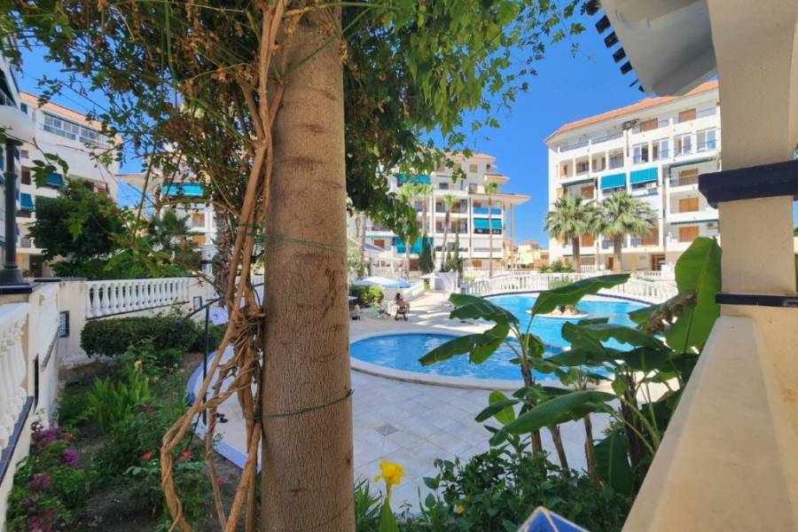 Reventa - Apartamento - La Mata - Viñamar / PLAYA