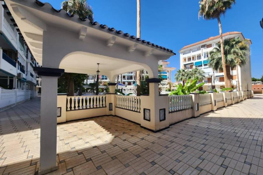 Reventa - Apartamento - La Mata - Viñamar / PLAYA