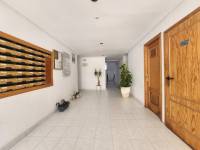 Reventa - Apartamento - La Mata - Viñamar / PLAYA