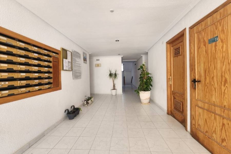 Reventa - Apartamento - La Mata - Viñamar / PLAYA