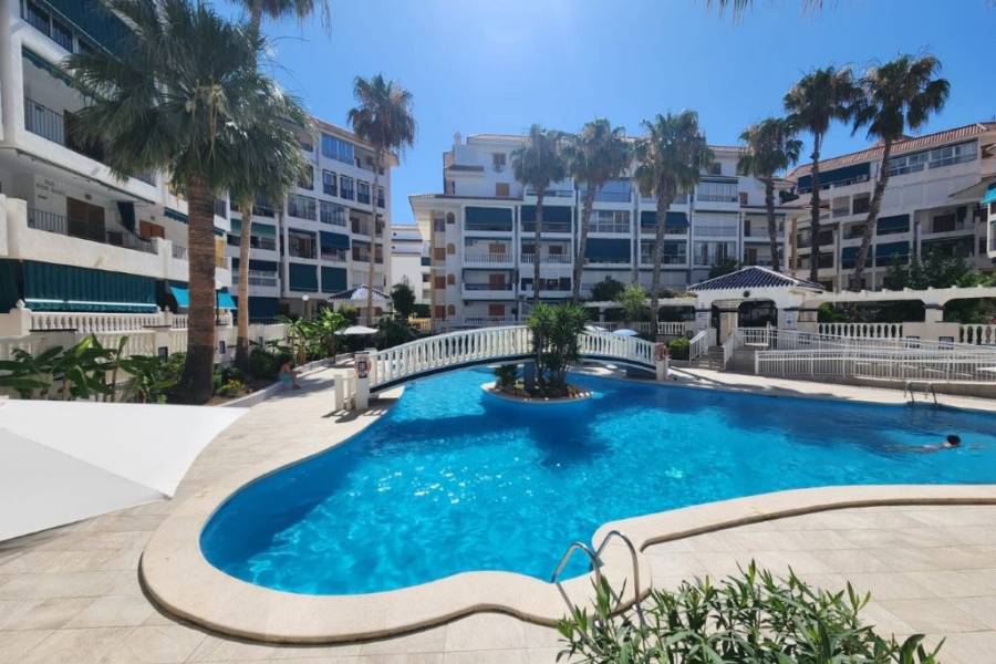 Reventa - Apartamento - La Mata - Viñamar / PLAYA