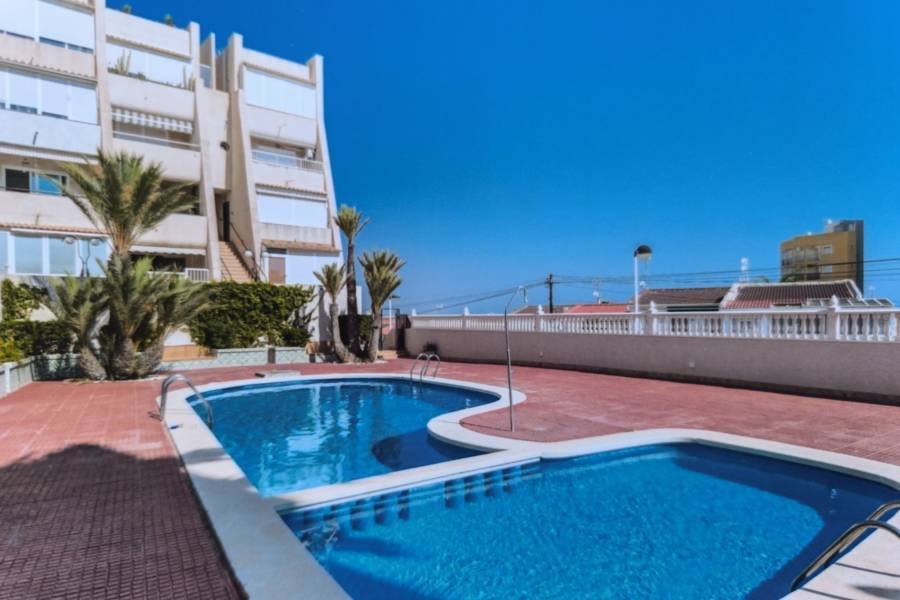 Reventa - Apartamento - La Mata - PLAYA