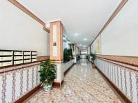 Reventa - ÁTICO - La Mata - Pueblo/ PLAYA