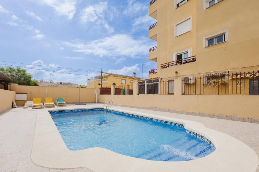 Reventa - Apartamento - Torrevieja - NUEVA TORREVIEJA