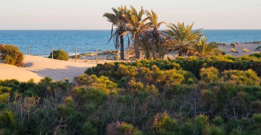 Weiterverkauf  - Reihenhaus-Bungalow - Guardamar - Urbanizaciones /PLAYA