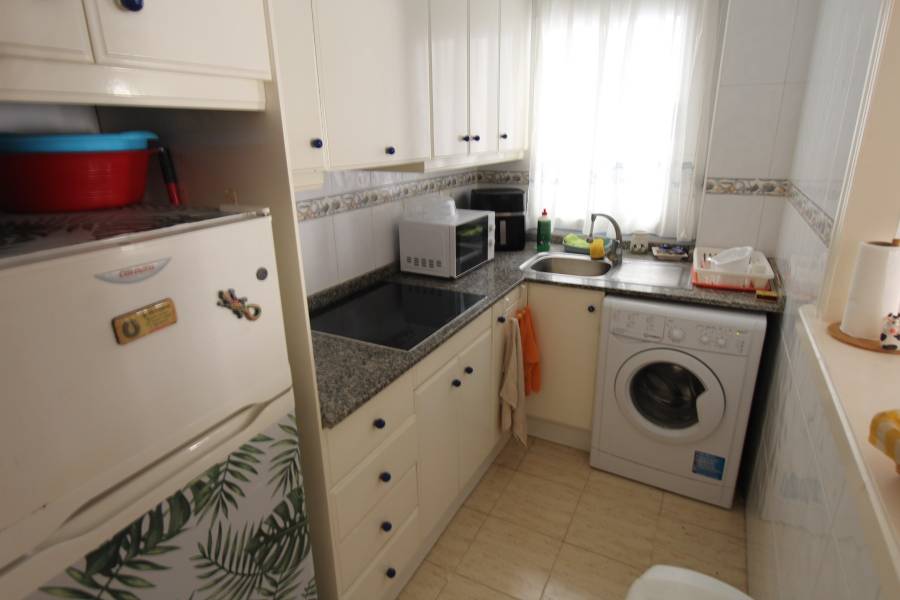 Alquiler - Apartamento - Torrevieja - La Mata