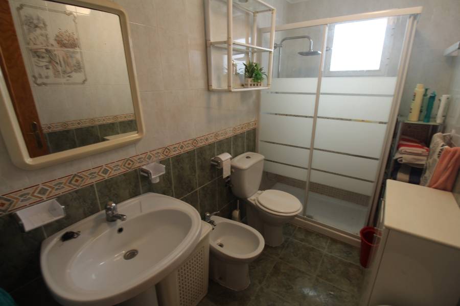 Alquiler - Apartamento - Torrevieja - La Mata