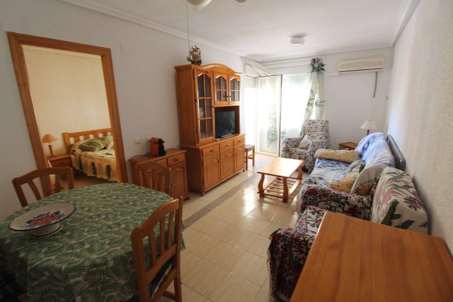 Alquiler - Apartamento - Torrevieja - La Mata
