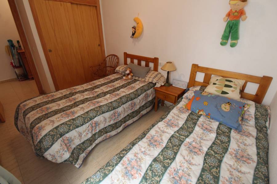 Alquiler - Apartamento - Torrevieja - La Mata