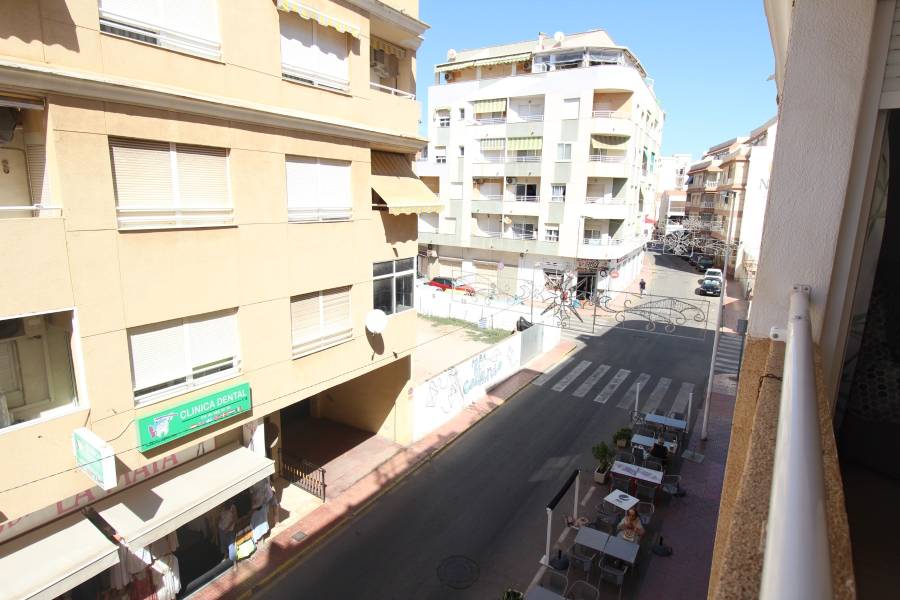 Alquiler - Apartamento - Torrevieja - La Mata