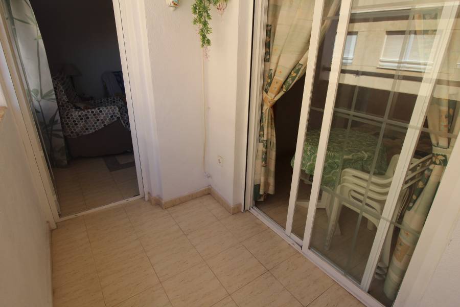 Alquiler - Apartamento - Torrevieja - La Mata