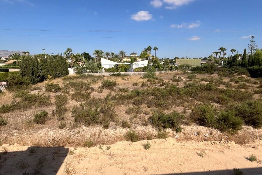 Reventa - Casas de Campo - Elche - Matola 