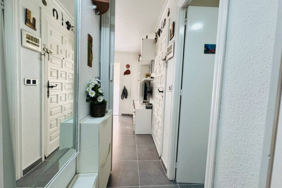 Reventa - Apartamento - La Mata - Puerto Romano/PLAYA