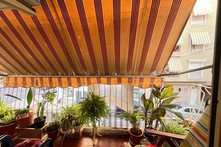 Occasion - Appartement - Elche - Sector V