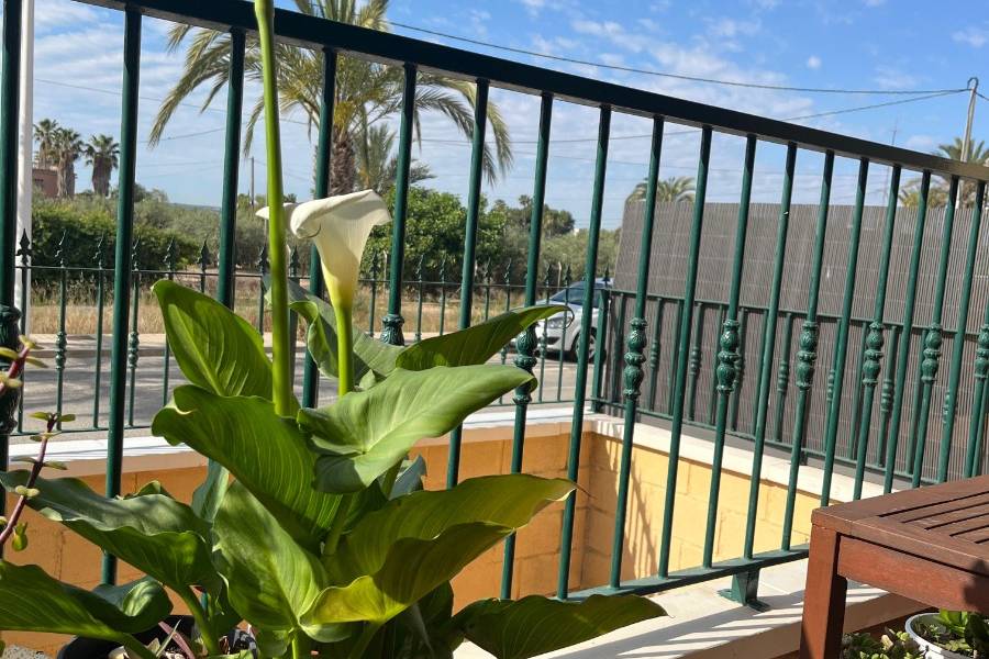 Reventa - Chalet - Elche - Las Bayas 